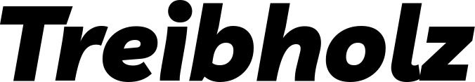 Vorschau des Bootsnamens "Treibholz" als Schriftzug für "Bootsbeschriftung Kursiv 06"