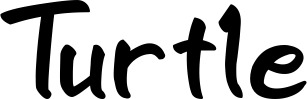 Vorschau des Bootsnamens "Turtle" als Schriftzug für "Bootsbeschriftung Klassisch 95"
