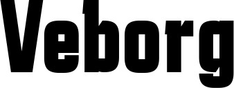 Vorschau des Bootsnamens "Veborg" als Schriftzug für "Bootsbeschriftung Fett 41"