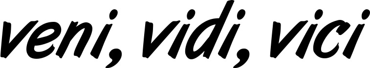 Vorschau des Bootsnamens "veni, vidi, vici" als Schriftzug für "Bootsbeschriftung Klassisch 38"