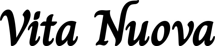 Vorschau des Bootsnamens "Vita Nuova" als Schriftzug für "Bootsbeschriftung Klassisch 51"