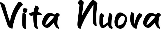 Vorschau des Bootsnamens "Vita Nuova" als Schriftzug für "Bootsbeschriftung Klassisch 95"