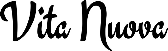 Vorschau des Bootsnamens "Vita Nuova" als Schriftzug für "Bootsbeschriftung Klassisch 63"