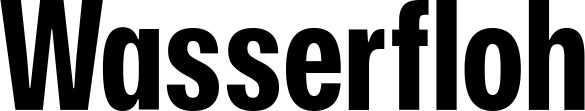 Vorschau des Bootsnamens "Wasserfloh" als Schriftzug für "Bootsbeschriftung Fett 25"