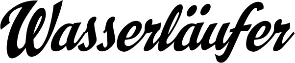 Vorschau des Bootsnamens "Wasserläufer" als Schriftzug für "Style Klassisch 29"