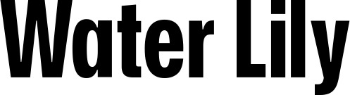 Vorschau des Bootsnamens "Water Lily" als Schriftzug für "Bootsbeschriftung Fett 25"