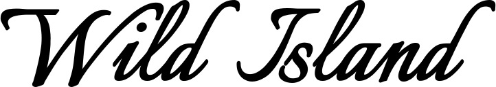 Vorschau des Bootsnamens "Wild Island" als Schriftzug für "Bootsbeschriftung Klassisch 58"