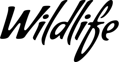 Vorschau des Bootsnamens "Wildlife" als Schriftzug für "Bootsbeschriftung Klassisch 57"