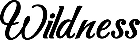 Vorschau des Bootsnamens "Wildness" als Schriftzug für "Bootsbeschriftung Klassisch 50"