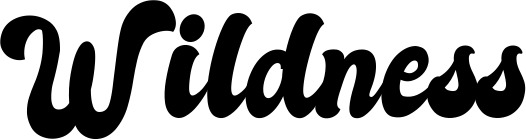 Vorschau des Bootsnamens "Wildness" als Schriftzug für "Style Klassisch 41"