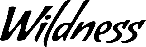 Vorschau des Bootsnamens "Wildness" als Schriftzug für "Bootsbeschriftung Klassisch 57"