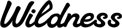 Vorschau des Bootsnamens "Wildness" als Schriftzug für "Bootsbeschriftung Klassisch 65"