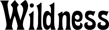 Vorschau des Bootsnamens "Wildness" als Schriftzug für "Bootsbeschriftung Neu 44"