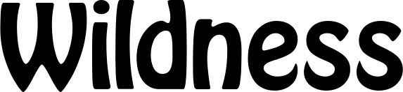 Vorschau des Bootsnamens "Wildness" als Schriftzug für "Bootsbeschriftung Fett 01"