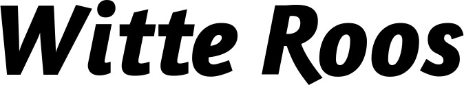 Vorschau des Bootsnamens "Witte Roos" als Schriftzug für "Bootsbeschriftung Kursiv 01"