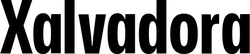Vorschau des Bootsnamens "Xalvadora" als Schriftzug für "Bootsbeschriftung Fett 25"