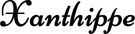 Vorschau des Bootsnamens "Xanthippe" als Schriftzug für "Bootsbeschriftung Klassisch 84"