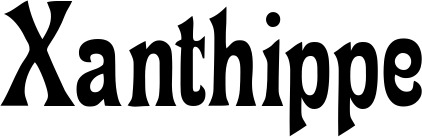 Vorschau des Bootsnamens "Xanthippe" als Schriftzug für "Bootsbeschriftung Neu 44"