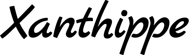 Vorschau des Bootsnamens "Xanthippe" als Schriftzug für "Bootsbeschriftung Klassisch 45"